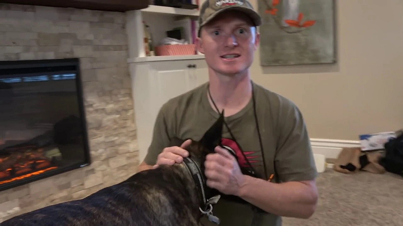 Sherni Update 6 Months Old