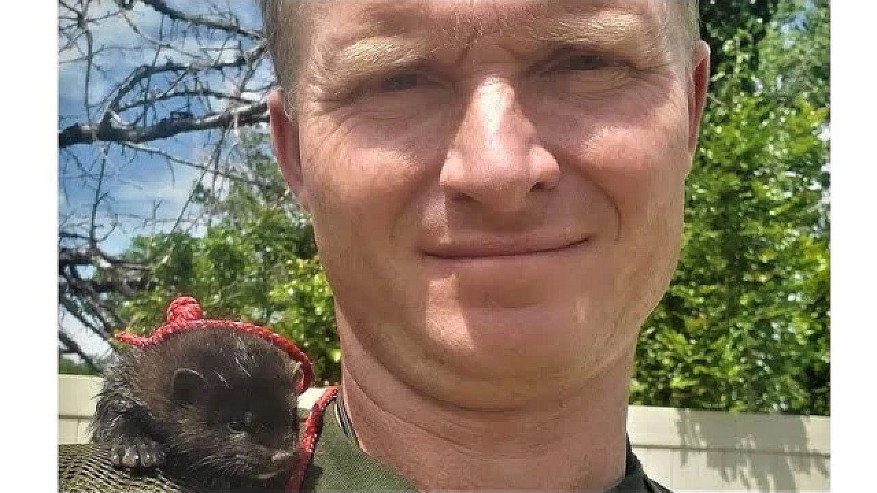 Bindi Catches A Fish And Rascal Begins Training.