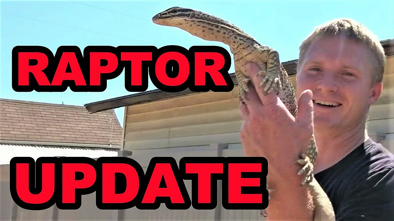 Important Announcement On Raptor!!!