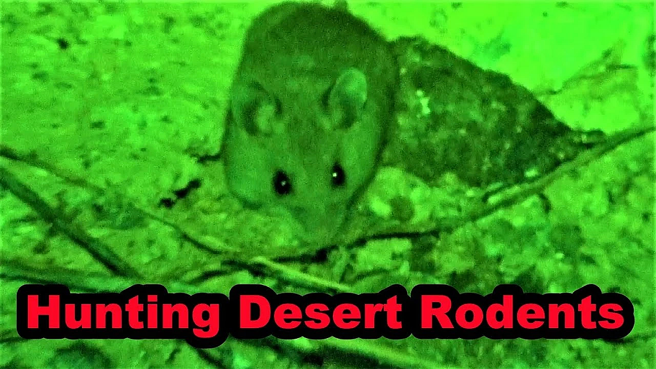 Hunting In The Desert With Villain