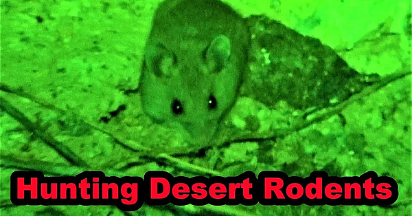 Hunting In The Desert With Villain