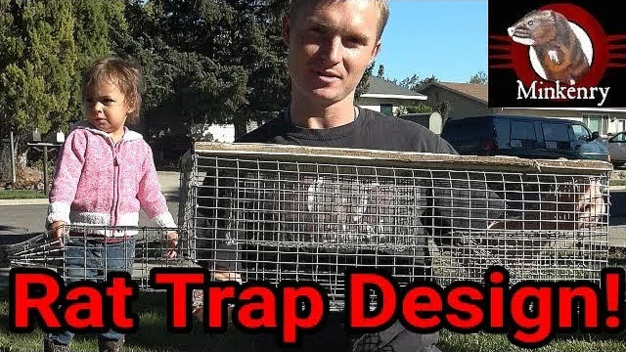 Amazing Repeating Rat Trap!