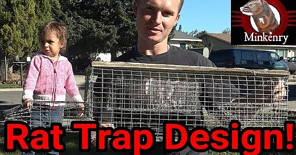 Amazing Repeating Rat Trap!