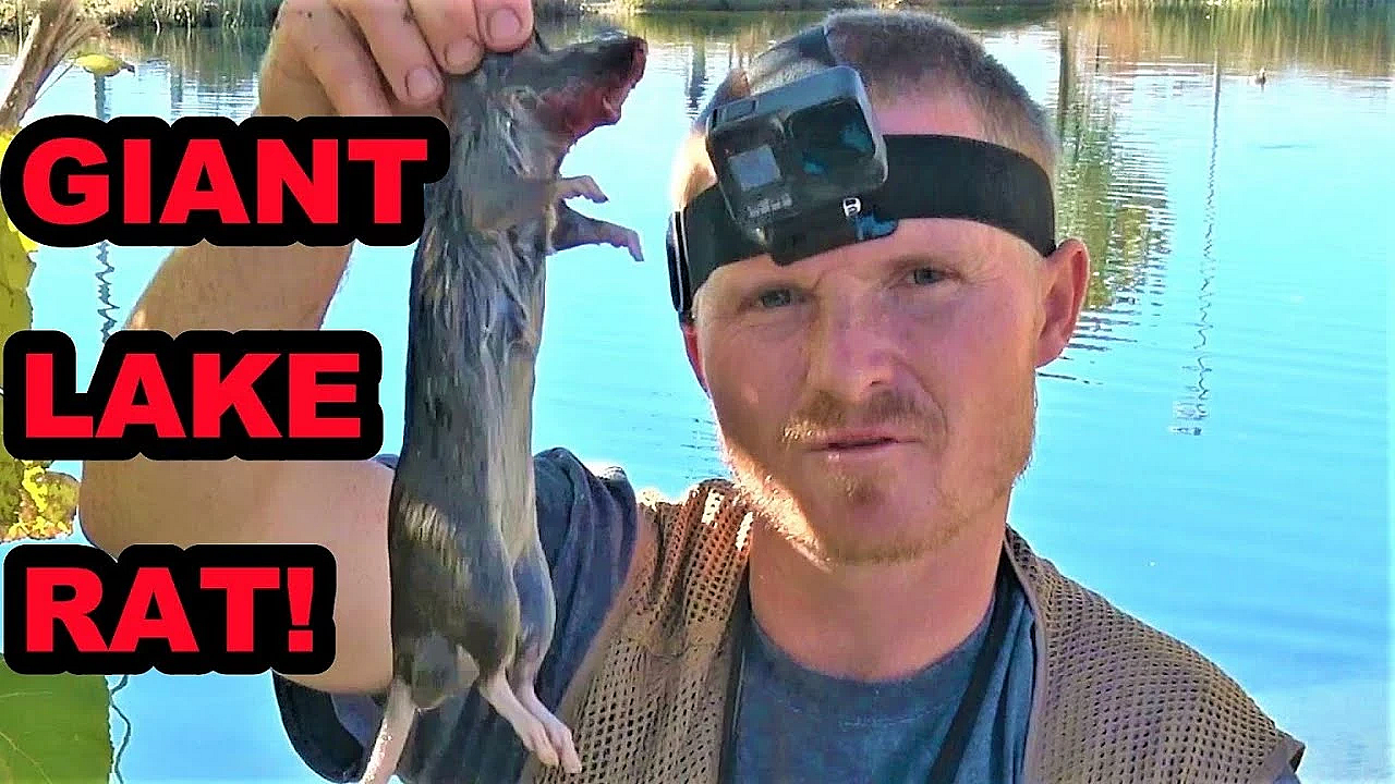 Boon Giant Lake Rat!!!