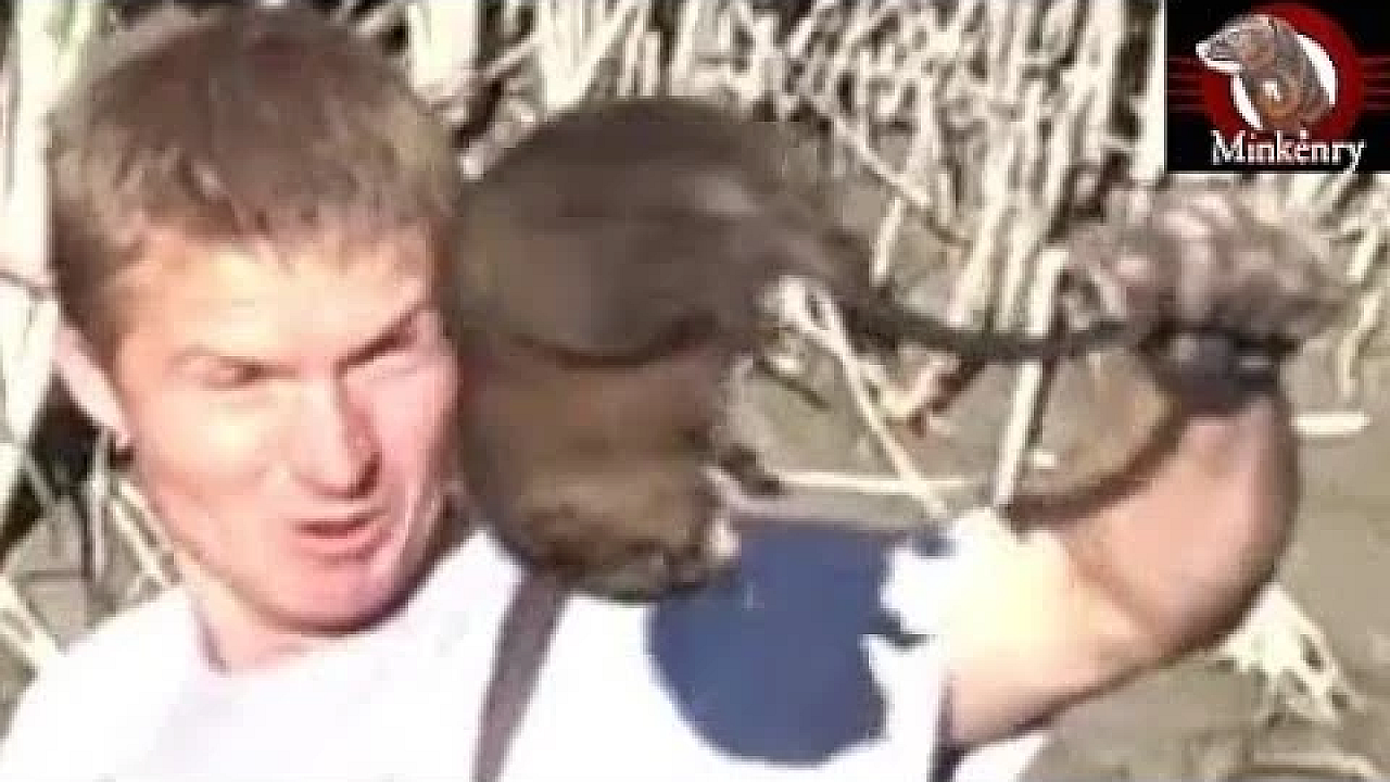 Pack Of Mink Vs A Swarm Of Muskrats!