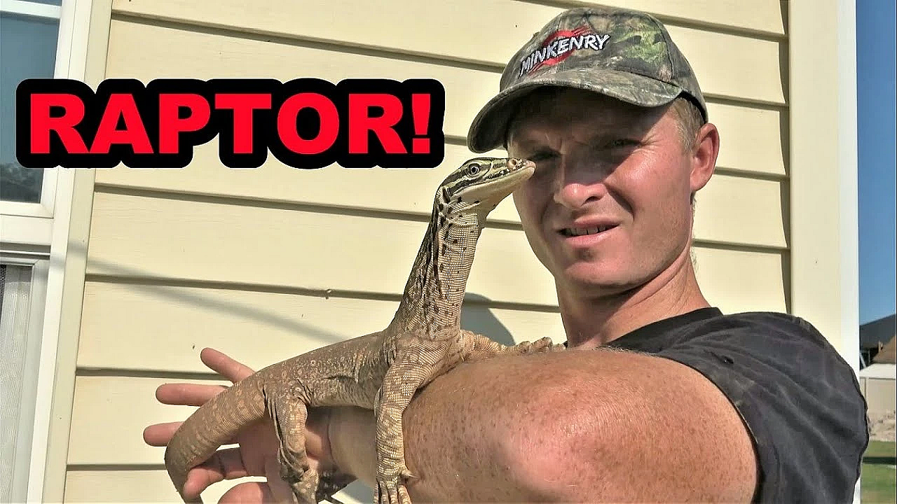 Raptor Update! New Training Tricks!
