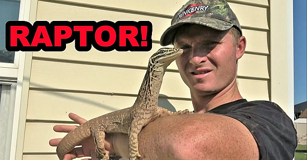 Raptor Update! New Training Tricks!