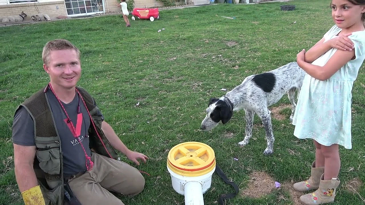 Caching Training For Mink Part 1