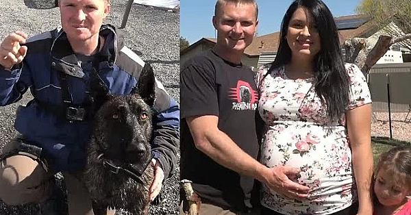 Hide And Seek With Sherni And Baby Announcements.