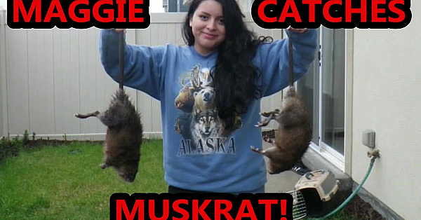 My Wife Maggie And Mink Hunting Muskrats!