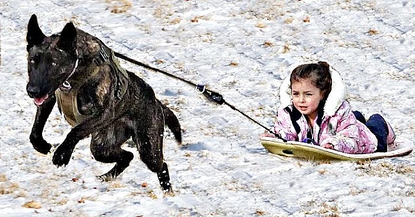 Sledding With Sherni