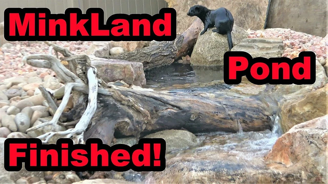 Minkland Pond Finished!!!!!