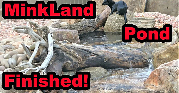 Minkland Pond Finished!!!!!