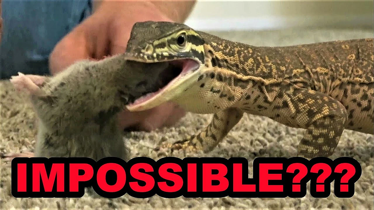 They Said It Was Impossible!