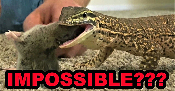 They Said It Was Impossible!