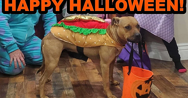 Happy Halloween From The Carter Family!