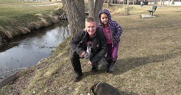 Grit And Ruger Finding Rats In The Park Training