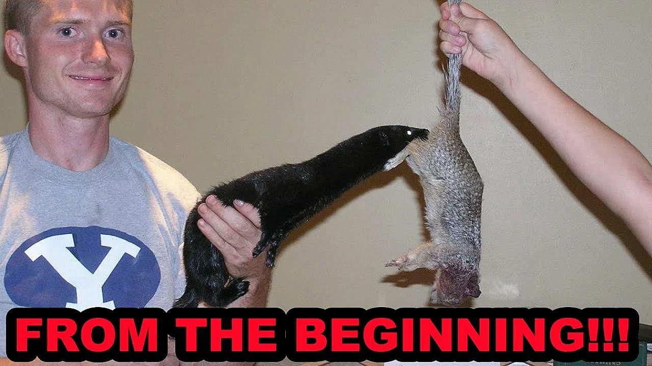 What An Adventure!!!