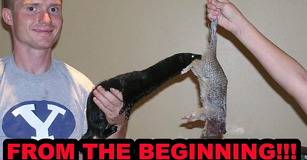 What An Adventure!!!