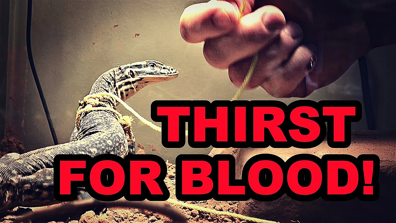 Raptor Training Continues... Ouch!