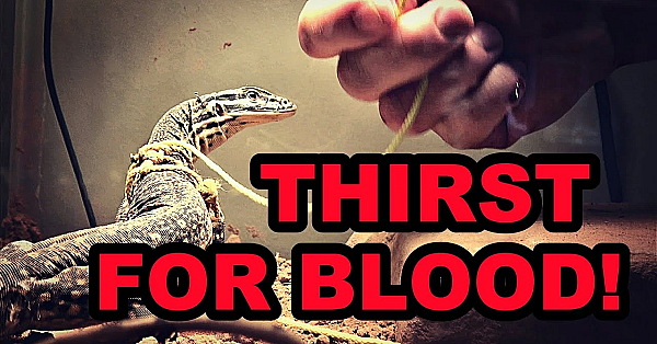 Raptor Training Continues... Ouch!