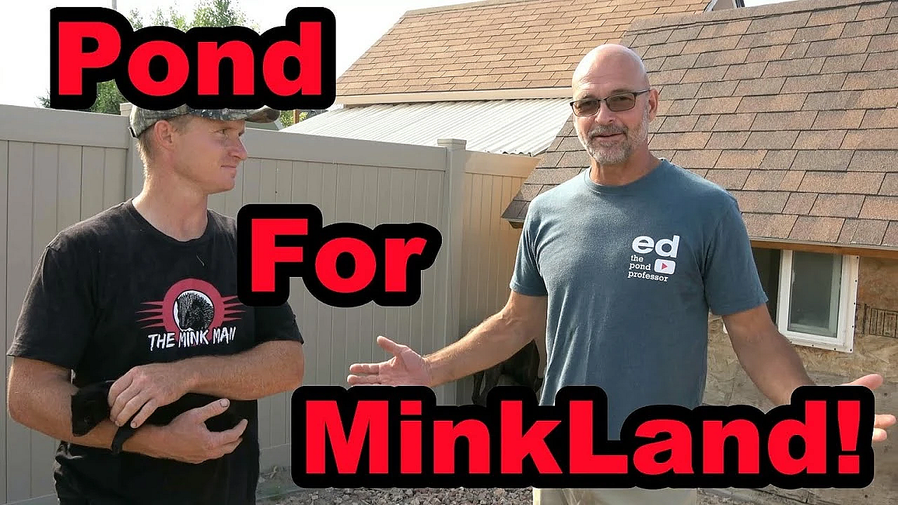 Amazing Pond For Minkland!!!!