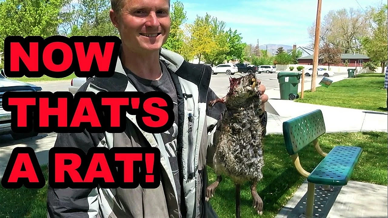 Boon's Incredible Underwater Muskrat!