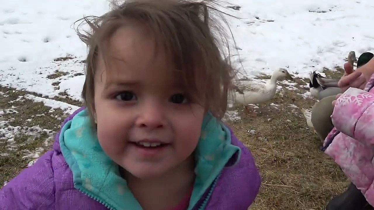 Mink Man And Family Pets