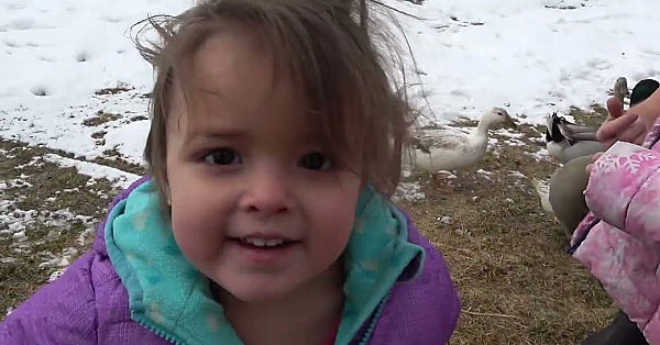 Mink Man And Family Pets