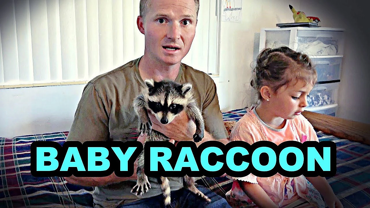 Mink Man With A Baby Raccoon!?!?!?