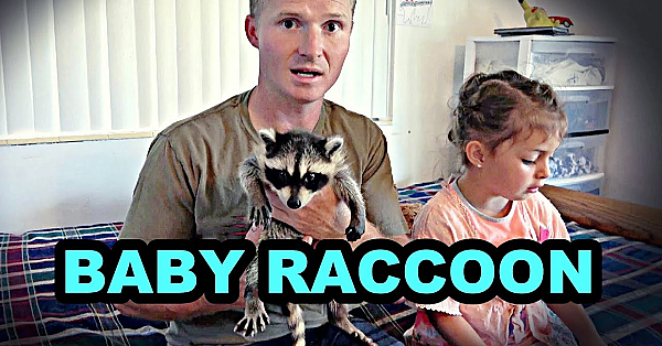Mink Man With A Baby Raccoon!?!?!?
