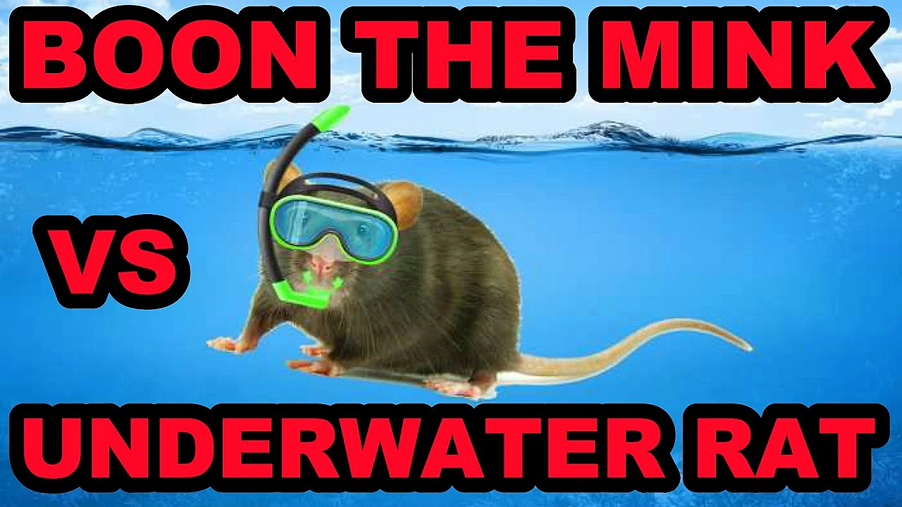 Boon's Underwater Rat!!!