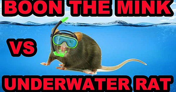 Boon's Underwater Rat!!!