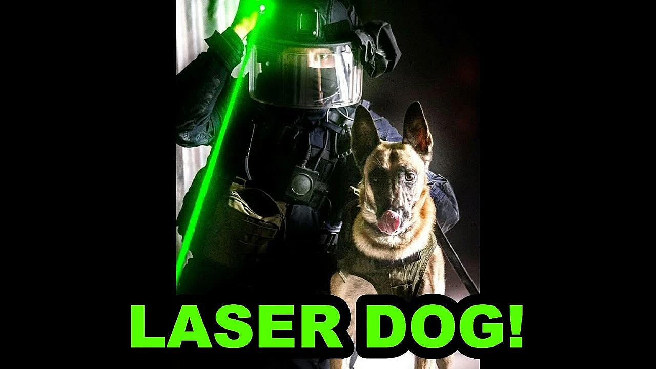 Genius Dog Learns To Use Laser!