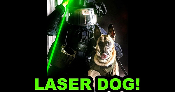 Genius Dog Learns To Use Laser!