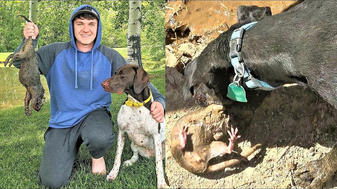 Hot Day Ratting And Penny's Surprise!