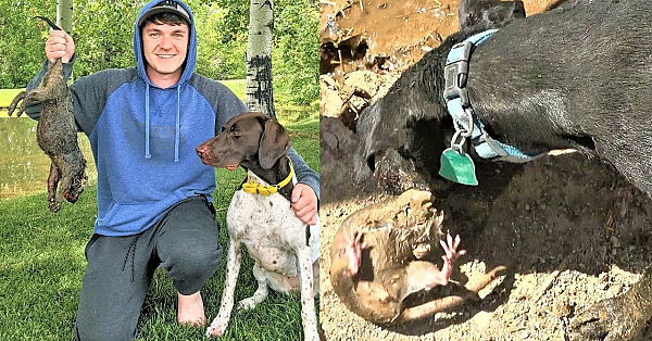 Hot Day Ratting And Penny's Surprise!