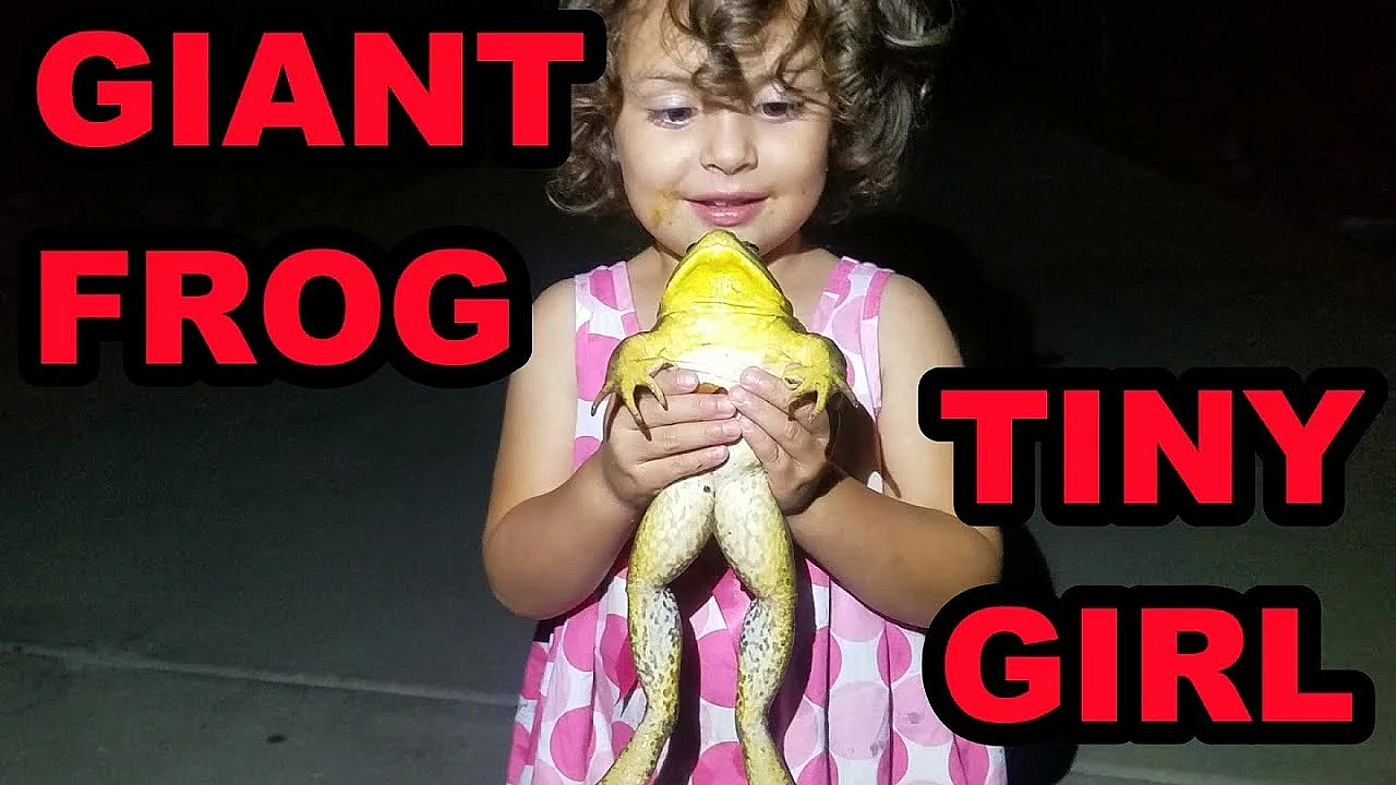 Little Girl With Big Snake And Frog!