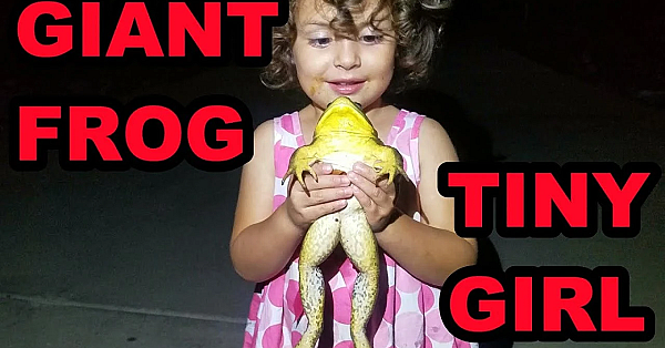 Little Girl With Big Snake And Frog!
