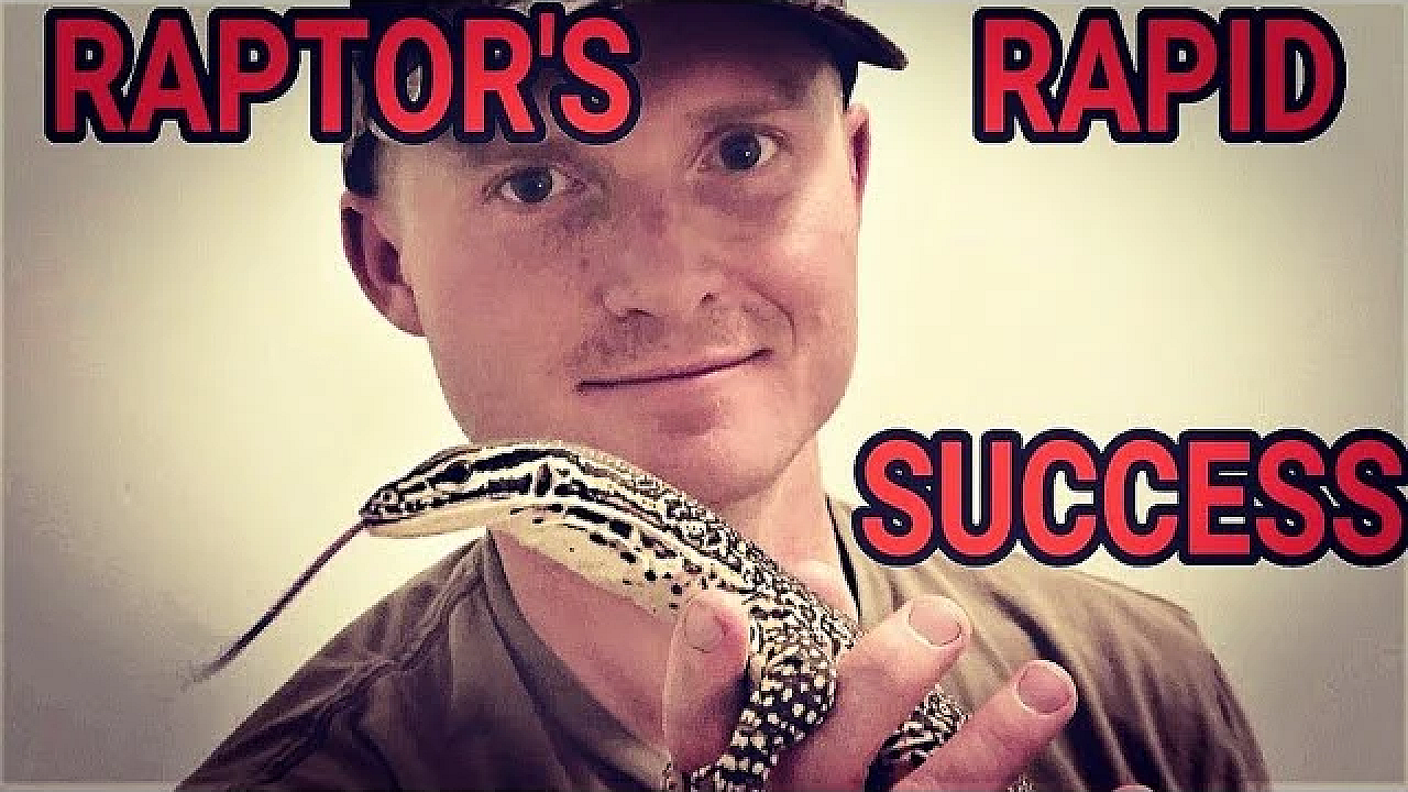 Lizard Comes Running When Called???