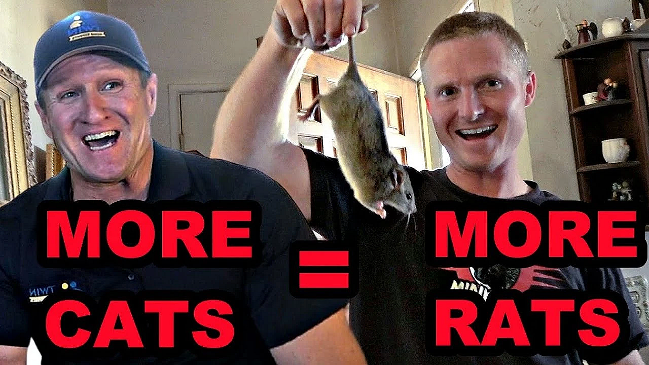 Hoarder Horror Rat Infestation!!! Twin Home Experts Collaboration!