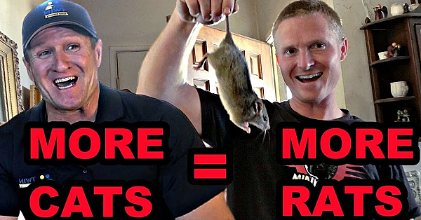 Hoarder Horror Rat Infestation!!! Twin Home Experts Collaboration!