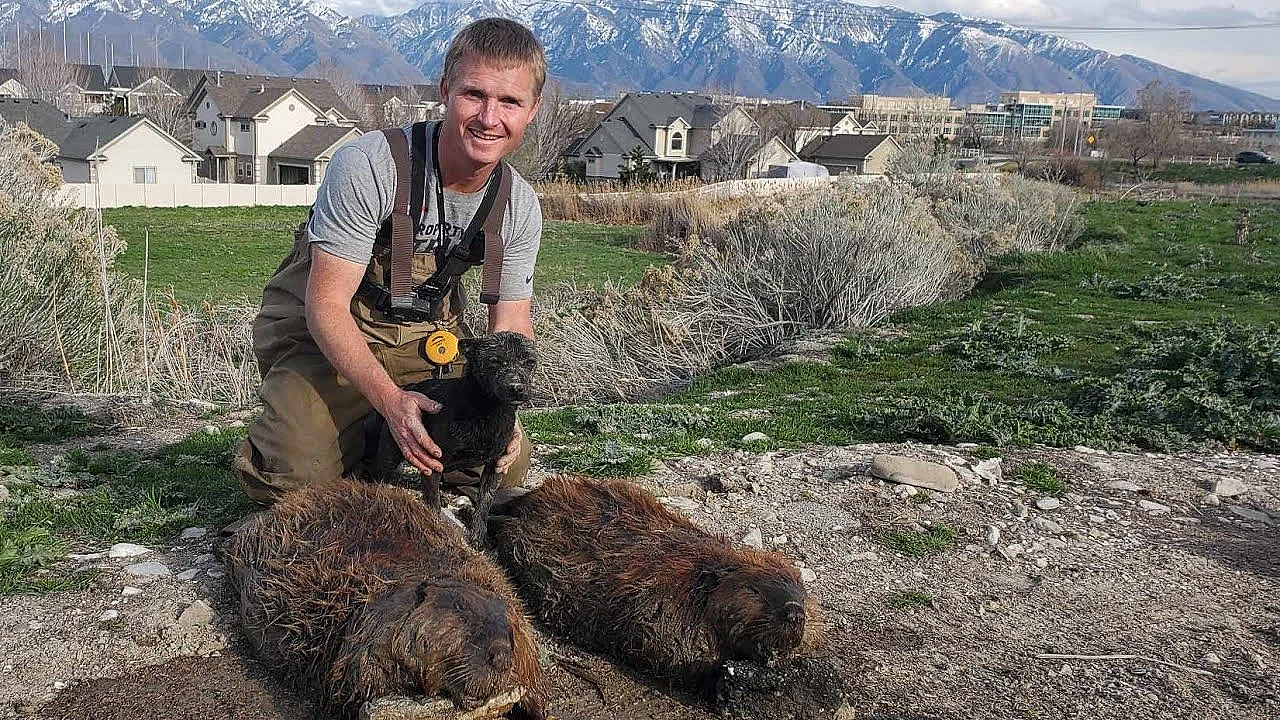 Important Update On Gypsy