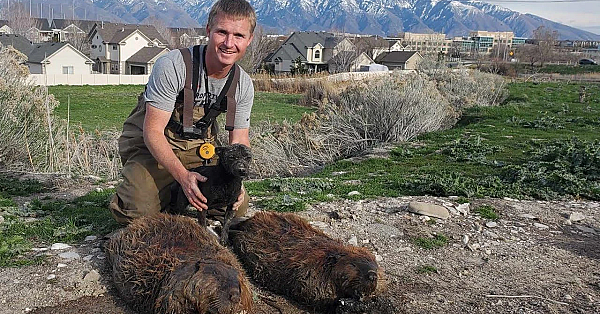 Important Update On Gypsy