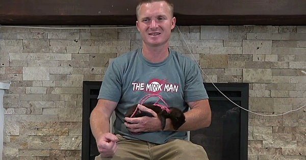 Why I Use Mink For Ratting