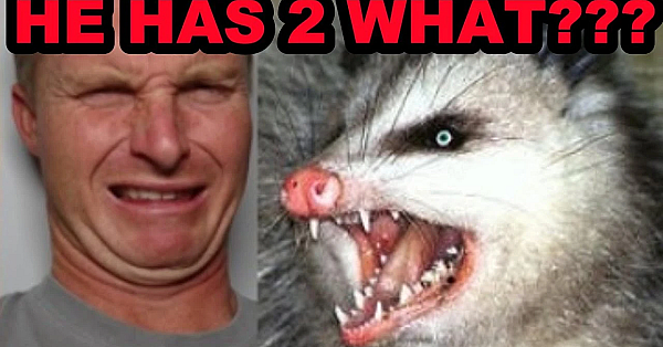 2-peter Possum: Myth Busting + Bizarre Truths On North America's Only Marsupial.
