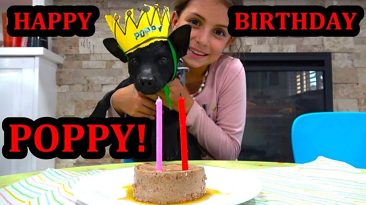 Poppy's 2nd Birthday