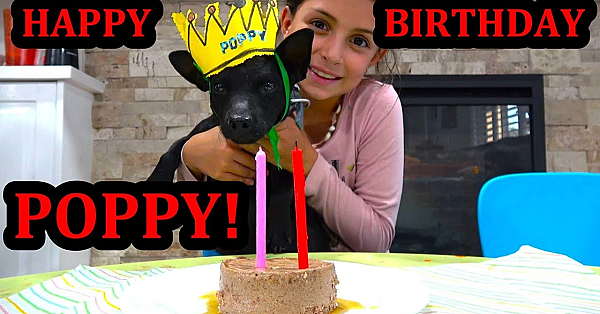 Poppy's 2nd Birthday