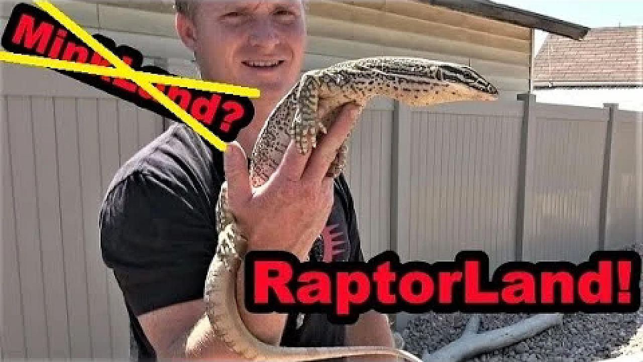 Day In The Life Of Raptor!