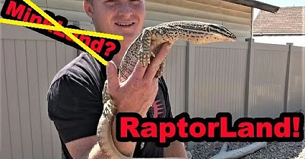 Day In The Life Of Raptor!